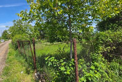 PROPRIETAR-Vand teren intravilan 1500 mp Maracineni (PITESTI) - 8