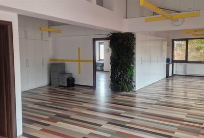 INCHIRIERE VILA PENTRU BIROURI UNIRII | P+2 | ZONA CENTRALA - 14