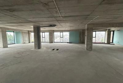 SPATIU BIROURI/ SHOWROOM/ CLINICA -Albert Ploiesti - 13