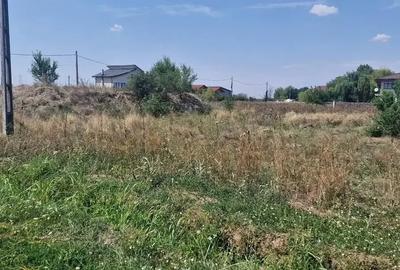 Teren intravilan Brănești – zonă verde, P+2E, utilități - 3