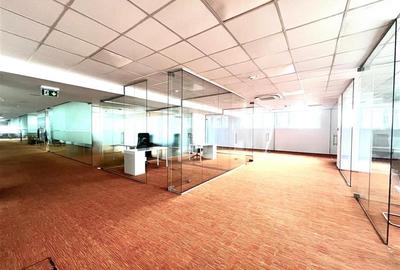 Spatiu de Birouri Clasa Superioara - Zona Dacia, Piata Romana - 8