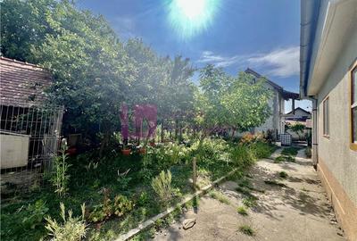 Casa de vanzare  | 2 constructii | 540 mp teren |  zona Lupeni | pivnita - 12