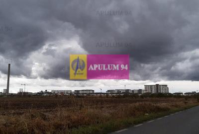 Hală 3600mp zona de Sud a capitalei - 31