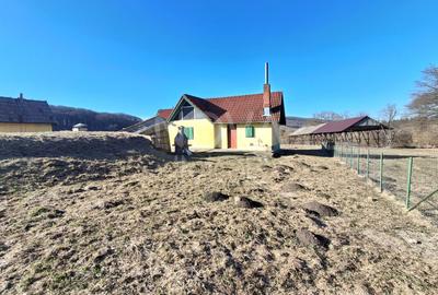 Ferma complet echipata de vanzare – zona Agnita, judetul Sibiu - 12