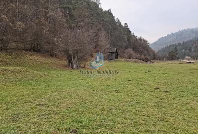 Teren Straja – Pangarati 3560 m, zona de Pensiune - 5
