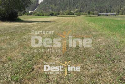 Teren de vanzare Pangarati 58.500 Euro 4488mp Intravilan - 1