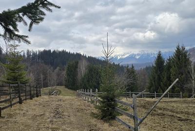 Teren intravilan construibil Brasov Bran  Poarta utilitati vedere spre munti - 9