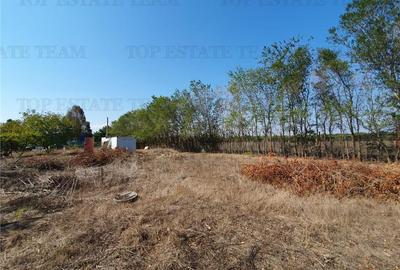 Teren intravilan agricol si teren curti constructii Lot 2 Parcela A326/49 - 16