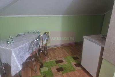 DE VANZARE CASA IN COM. BRANESTI (IF) - 19