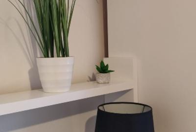 Proprietar, închiriez apartament cu 1 cameră zona ISHO - Take Ionescu - 4