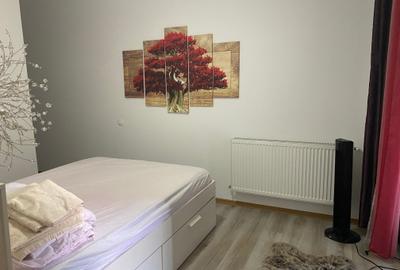 Apartament 2 camere str Traian, zona Piata Mihai Viteazu, c-tie din 2015 - 6