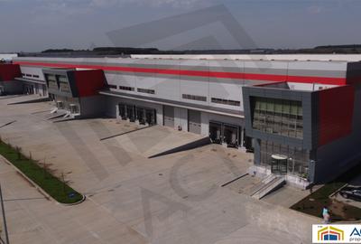 Hale moderne de inchiriat in Villar Logistics Park Bucharest West - 1