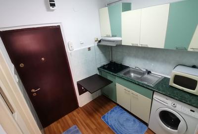 Garsoniera de închiriat, str Visinului- Noua - 4