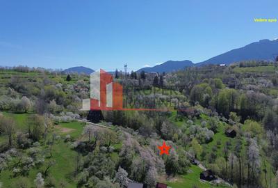 Teren 2500 mp Sohodol - 6