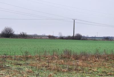 Vand teren agricol extravilan in Giroc - 1