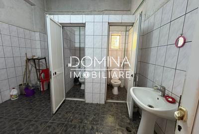 Inchiriere complex industrial multifunctional – pozitie strategica, Targu Jiu - 8