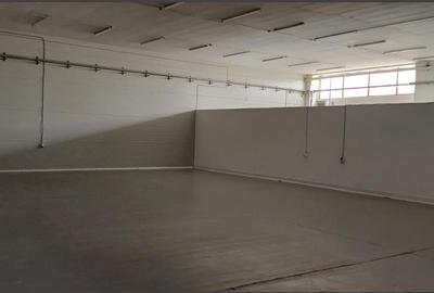 Hale pretabile depozitare sau productie - 1