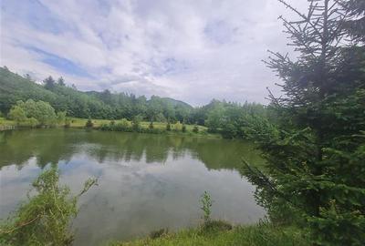 FILM! Oaza paradisiaca cu lac, vedere catre Bucegi, Glajerie/ Rasnov, pretabil C - 20