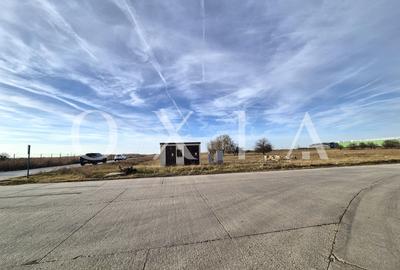 Teren Construcții intravilan de 3000 mp, în Șagului