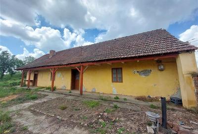Casa veche cu teren mare in Vinga - 2