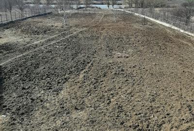 Teren de vanzare la Lac, Corbeanca - 6