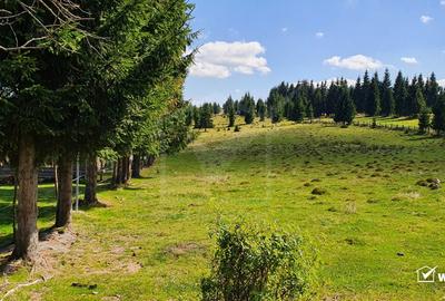 Teren intravilan 10.814 mp cu PUZ aprobat – Belis - 1