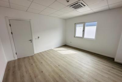 Hala industriala nouă ,499 mp construiti, zona Rudeni-Chitila, Centura Vest - 13