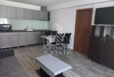 Apartament cu 2 camere decomandat, mobilat în Aradului
