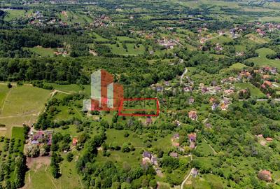 Teren cu livada Bran/ Predelut - 4