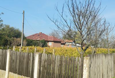 Anunț Vânzare Proprietate Rurală – sat Bușca, comuna Mihăiești, județul Olt - 15