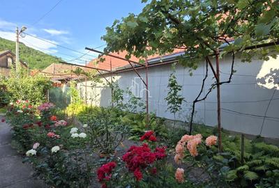 Casa de vanzare, 360 Mp teren, zona centrala, Sighisoara - 24