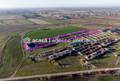 Teren 1.15 HA lângă Autostrada – Nădlac | clădiri+utilități - 2