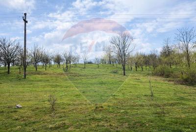 Teren intravilan Orăștie 2200 mp – perfect parc distracții / vilă