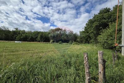 Teren de vanzare  Intravilan 19.341 mp – Cheile Râșnoavei, Parcelabil - 7
