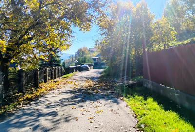 Intravilan 3600 mp la 10 min de  centru, utilitati, asfalt - 7