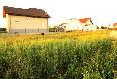 Vanzare Teren intravilan, construibil, 523 mp, Viforata - Targoviste Exterior No - 5
