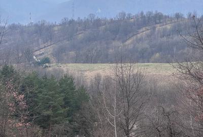 6000 MP intravilan, sat Bistrita, 9 Eur/MP - 3