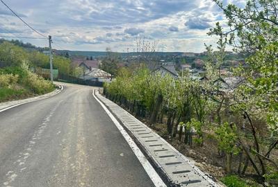 Teren intravilan 1000mp Valea Lupului la 1,2km de E85 apa canalizare PE TEREN! - 8