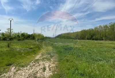 Teren 138.104 mp Dragomiresti-Vale, Ilfov, langa A0 - 9