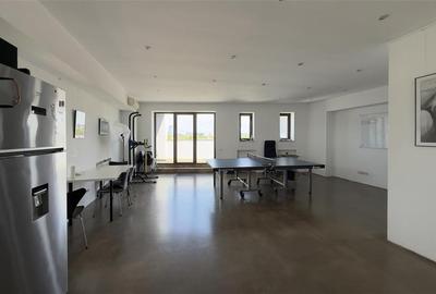 Duplex de inchiriat pentru birouri Piata Floreasca - 2