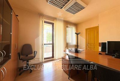 Spatiu de birouri | P + 2E | 254 mp | 10 camere | Parcare | Cetate - 7