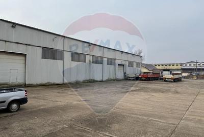 Spațiu industrial în Deva - Platformă betonată, 2 hale , linie CFR - 8
