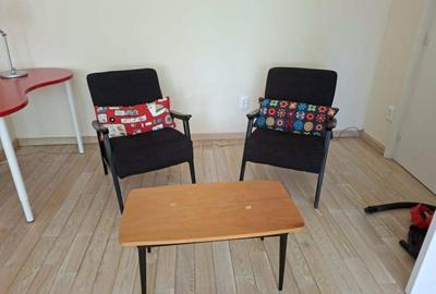Ion Mihalache-Averescu-Arcul de Triumf,apartament 2camere de inchiriat - 8