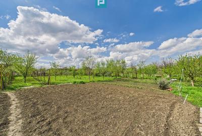 Casă individuală la Beregsău Mare, 2890 mp teren - 31