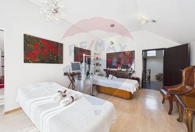 Spațiu comercial |Business la cheie|  Spa de lux | Mogosoaia - 2
