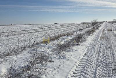 Teren ideal investitie 2 loturi  Str Calugareni-Lapusneanu - 4