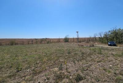 Teren Extravilan 10000 Mp Sibioara Constanta - 1