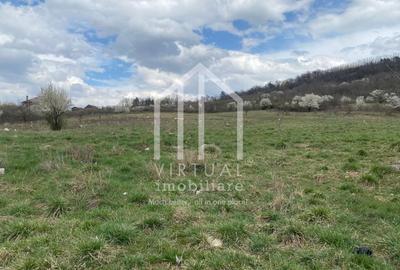 Teren intravilan de vanzare in Sibiu, suprafata 580 mp, Gusterita - 5