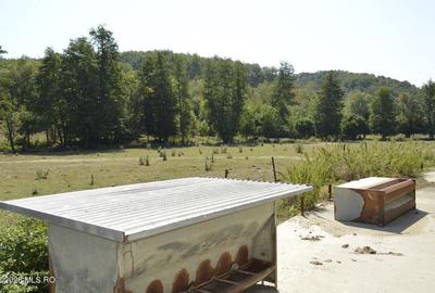 Bogati - Glimbocel, Ferma Zootehnica, Cladiri 1996 mp, Teren 4.89 ha - 29