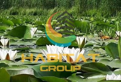 Teren intravilan Str Primaveri deschidere la lac Berceni - 3